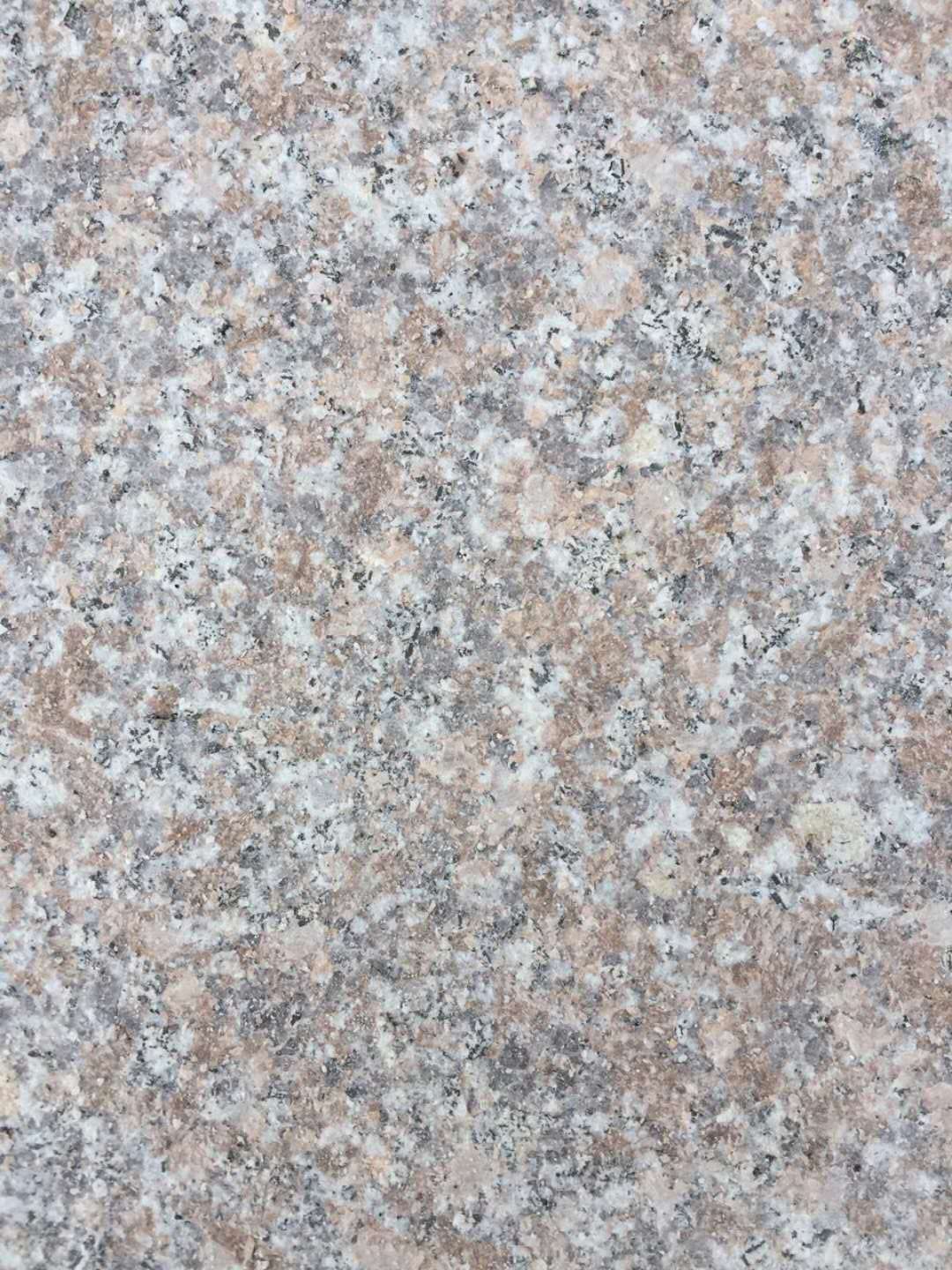 五蓮紅火燒面